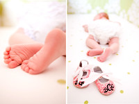 Greenville NC Photographer