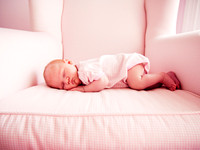 Greenville NC Photographer