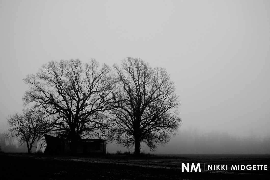 Morning Fog | Farmville, NC Photography