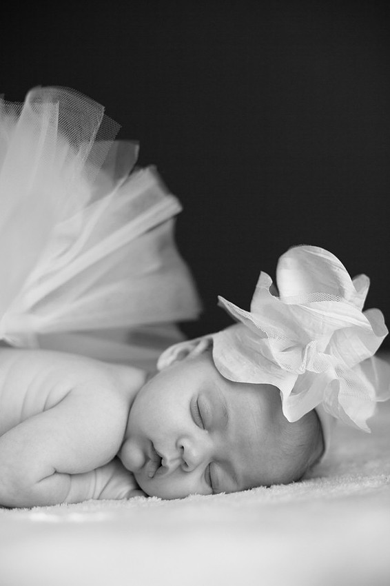 Eastern NC Newborn Photographer
