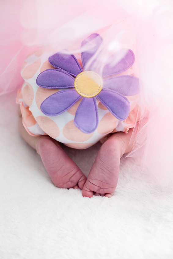 Eastern NC Newborn Photographer