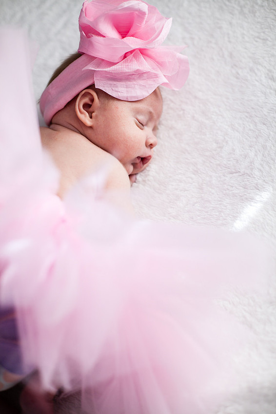 Eastern NC Newborn Photographer