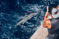 Eastern NC Sportfishing Photographer